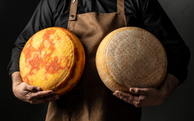 Smart cheese: Eficiencia energética en las fábricas de quesos